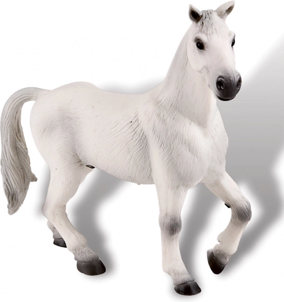 Fehér oldenburgi herélt