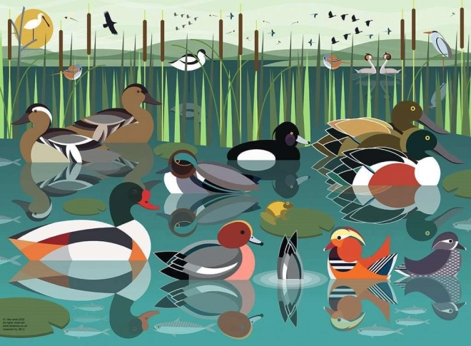 Vízimadarak puzzle, 500 darab