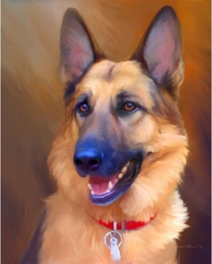 Gyémántmozaik (diamond painting) – német juhászkutya 30 × 40 cm