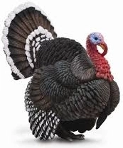 COLLECTA pulyka figura