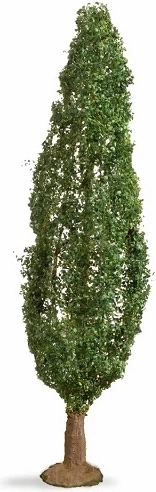 Noch nyárfa (Master Tree) 18 cm