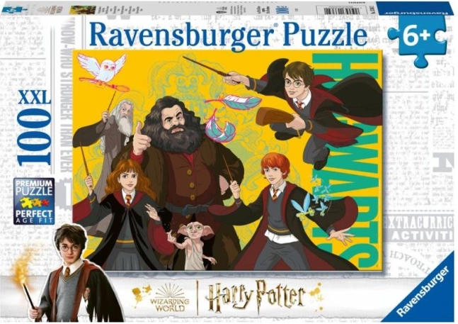 Harry Potter: fiatal varázsló puzzle 100 darab