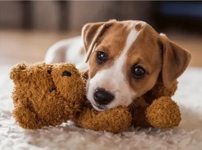 Ravensburger puzzle Melengető ölelés 500 darab