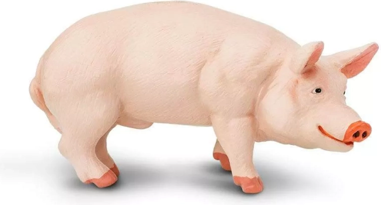 Malac (házi sertés) figura Safari Ltd.