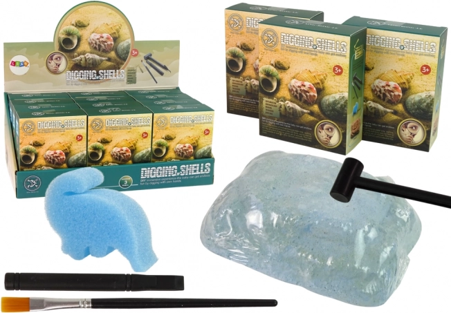 Régészeti készlet – kagylófeltárás, 3 meglepetés modell