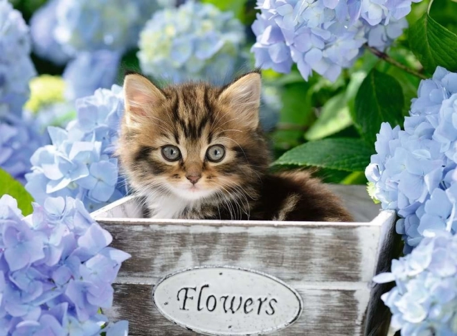 RAVENSBURGER puzzle – Kiscica XXL, 300 darab