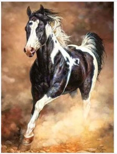 Norimpex Számfestő készlet Vágtató ló a homokban 40 × 50 cm