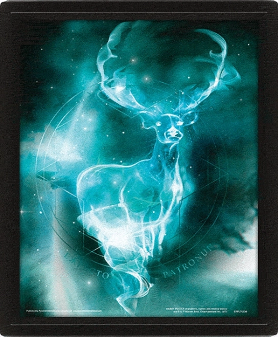3D kép Harry Potter - Patronus