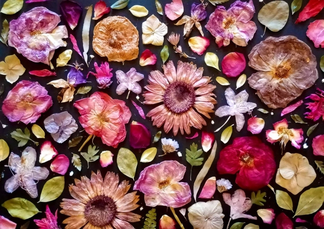 Élvezd puzzle rózsaszín 1000 darabos