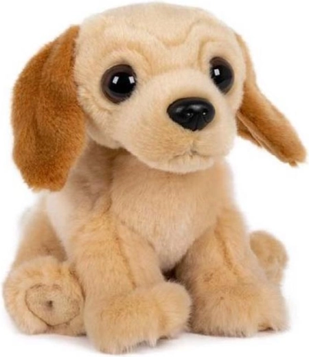 Plüss ülő labrador 15 × 17 cm
