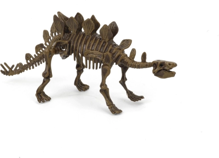 3D Stegosaurus régészeti készlet