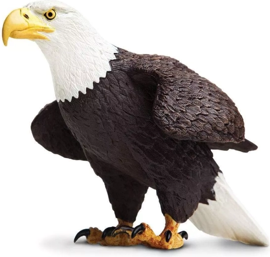 Safari Ltd. fehérfejű rétisas figura - 1 db