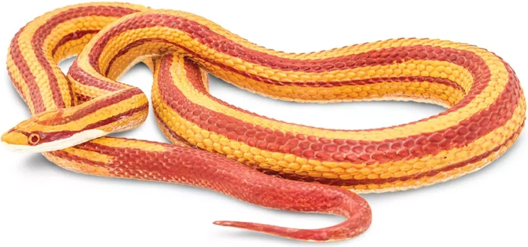 Vörös sikló (corn snake) figura Safari Ltd.