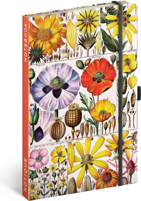 Katalin Winterová Herbárium notesz, pontozott 13 × 21 cm