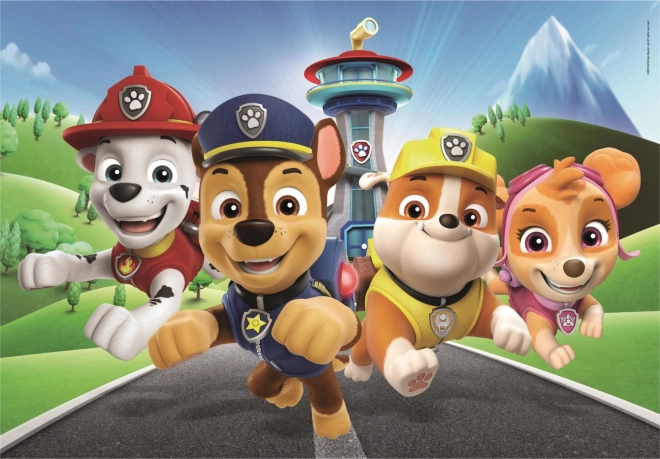 60 darabos PAW Patrol Super Color kirakó
