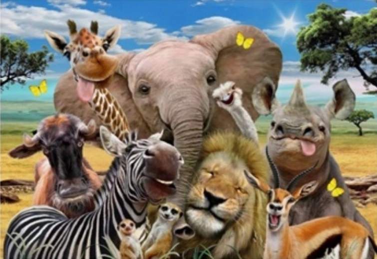 Norimpex Safari festés számok szerint 40 × 50 cm