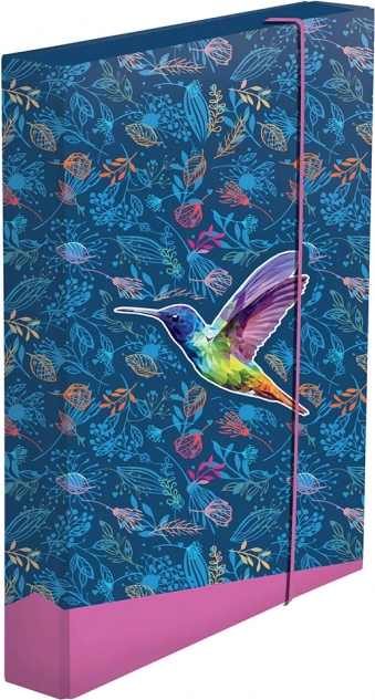A4 jumbo füzetbox – kolibri