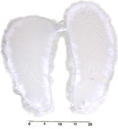 Angyalszárny tollakkal 47 × 47 cm