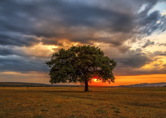 Puzzle Alkonyat 1000 darabos ENJOY