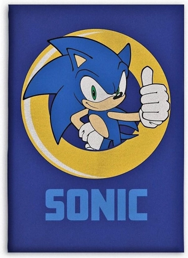 Sonic polár fleece takaró