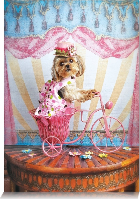 Utazó Álom Puzzle 500 darab