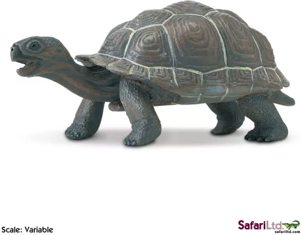 Safari Ltd. galápagosi óriásteknős bébi figura – 1 db