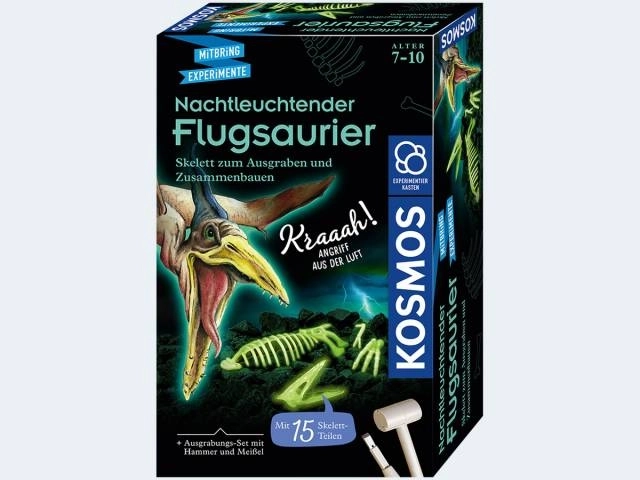 Kosmos sötétben világító repülő őshüllő