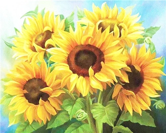 NORIMPEX Számfestő készlet Napraforgócsokor 40 × 50 cm