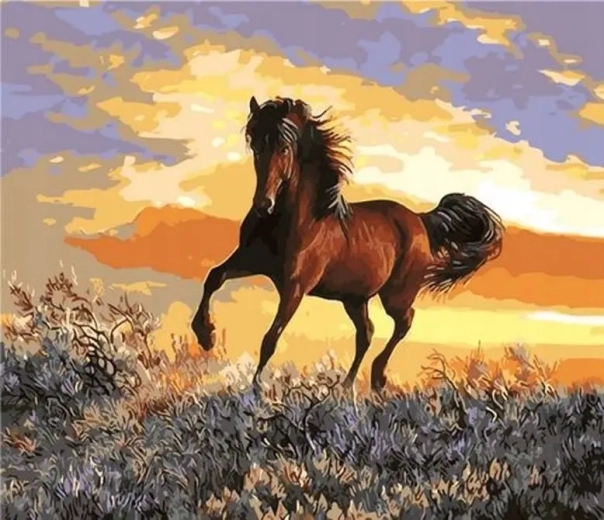 Norimpex számfestő készlet – Ló naplementében, 40 × 50 cm