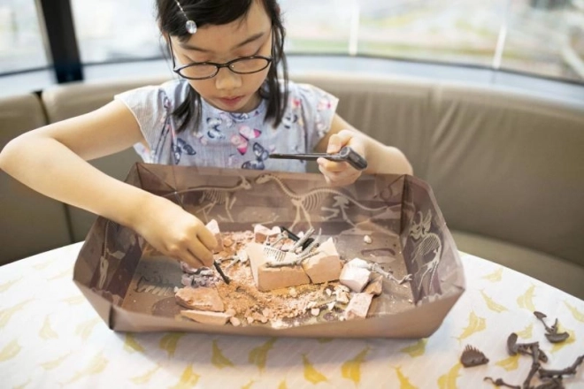 Dinoszaurusz csontváz – Brachiosaurus