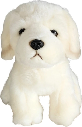 Plüss golden retriever kutya 19 cm