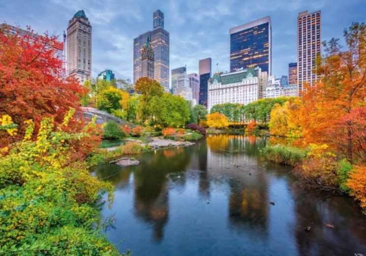 Central Park puzzle 500 darabbal