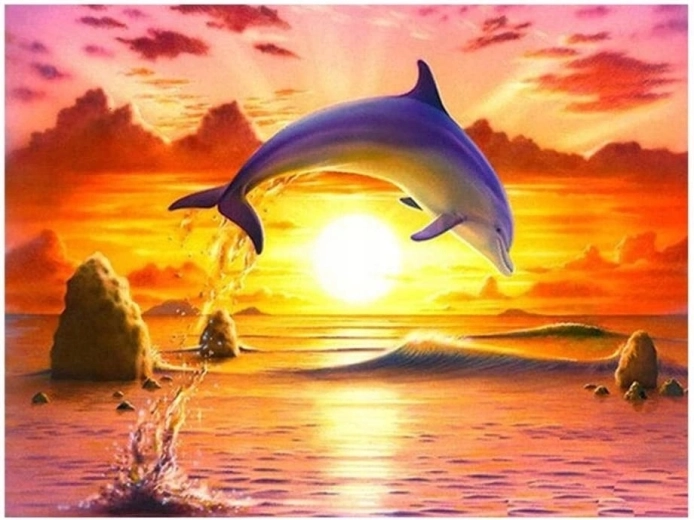 Norimpex Számfestő készlet Ugró delfin naplementében 40 × 50 cm