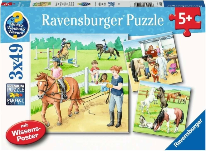RAVENSBURGER puzzle Lóistállóban töltött nap 3×49 darab