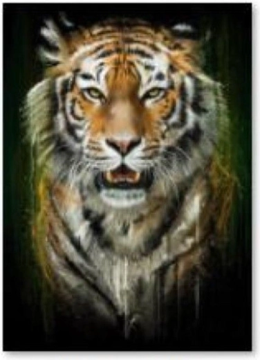 Gyémántkirakó (diamond painting) tigris – 30 × 40 cm