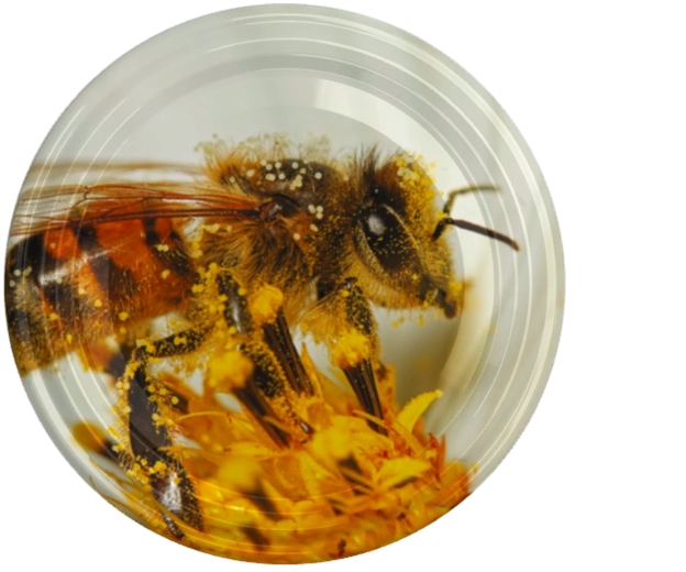 Fi82 csavaros tető nagy méh virágon motívummal