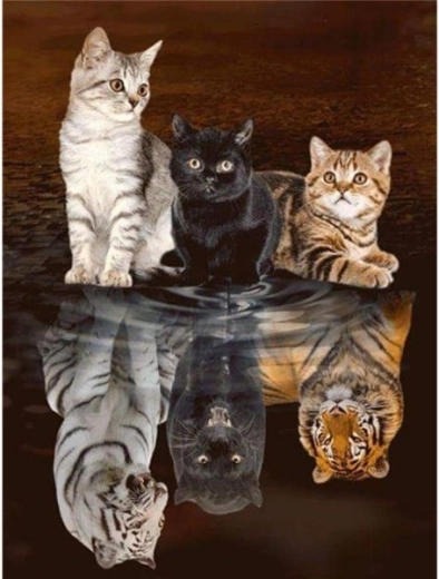 Gyémántfestés (diamond painting) tükörkép – három macska 30 × 40 cm - 1 db