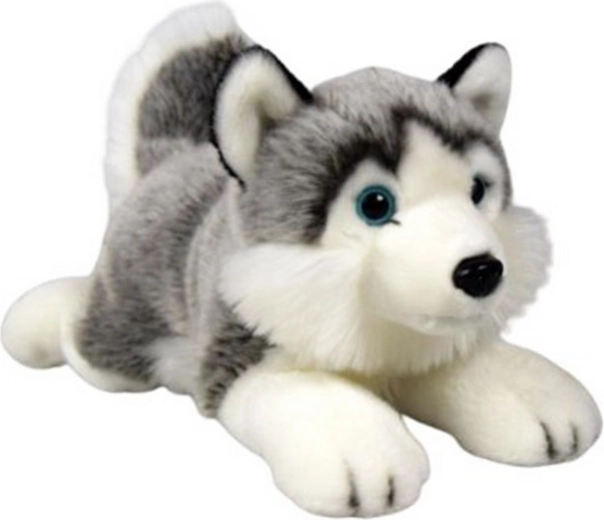 Plüss fekvő husky 34 cm