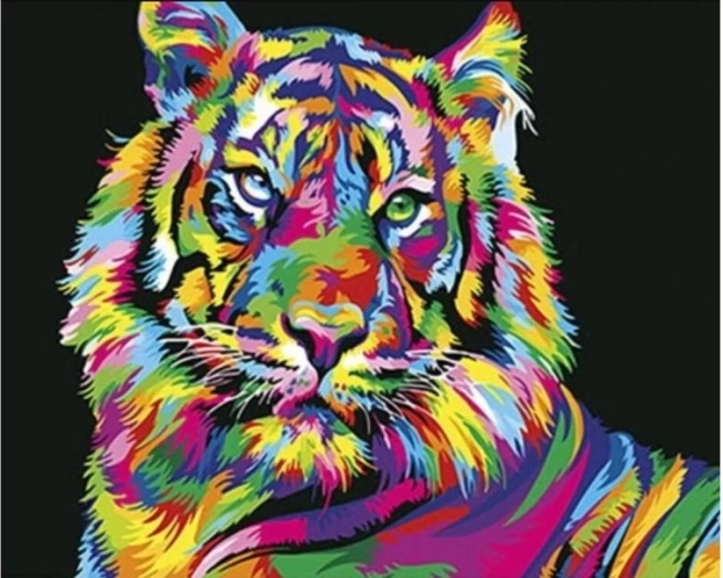 Számozott kifestő készlet feszített vásznon, keretben 50 × 40 cm – színes tigris
