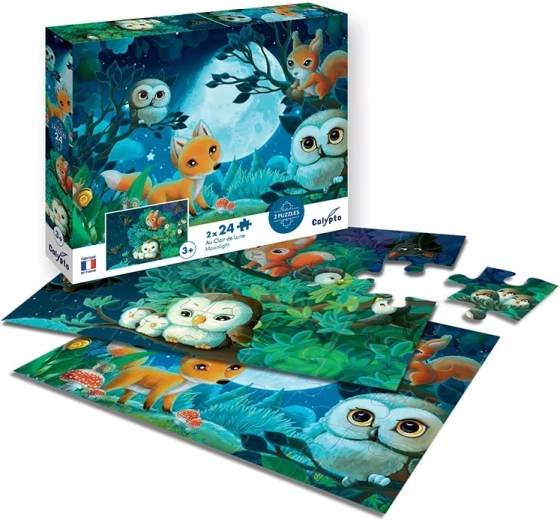 Sentosphere puzzle holdfényben