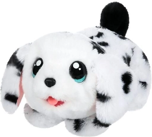 Cuki dalmata, kész a bújós játékra