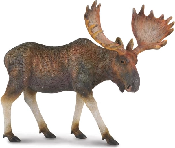 Collecta lófigura
