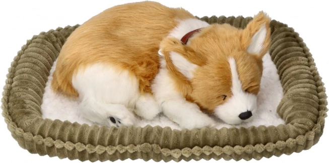 Lélegző CORGI kölyök – realisztikus plüssjáték