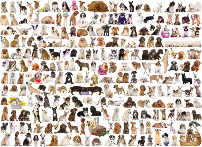 Eurographics puzzle Kutyák világa 1000 darab