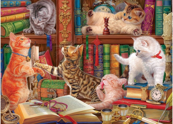 EUROGRAPHICS puzzle macskakönyvtár 1000 darabos