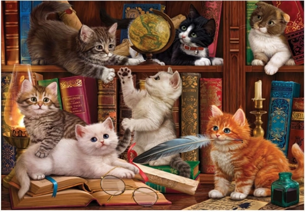 Puzzle Cicák a könyvtárban 500 darabos
