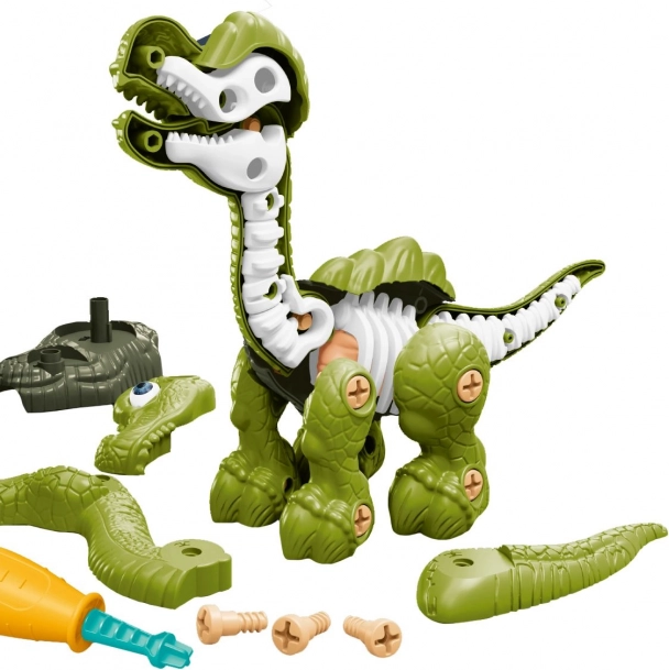 Csavarható dinoszaurusz csontvázzal zöld