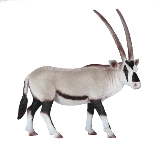 Mojo arab ló