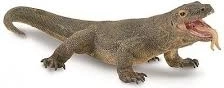 Komodói varánusz figura