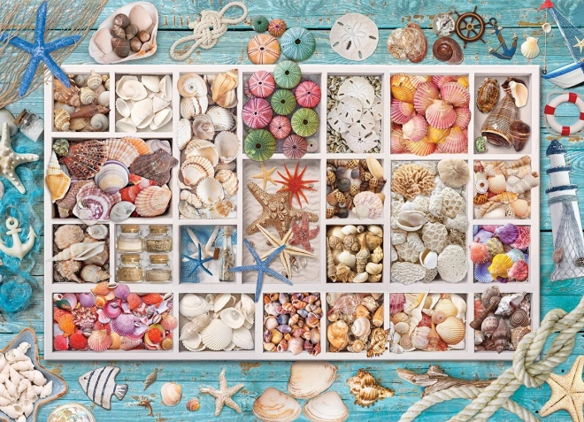 Puzzle EUROGRAPHICS Laura kagylógyűjteménye – 1000 darab